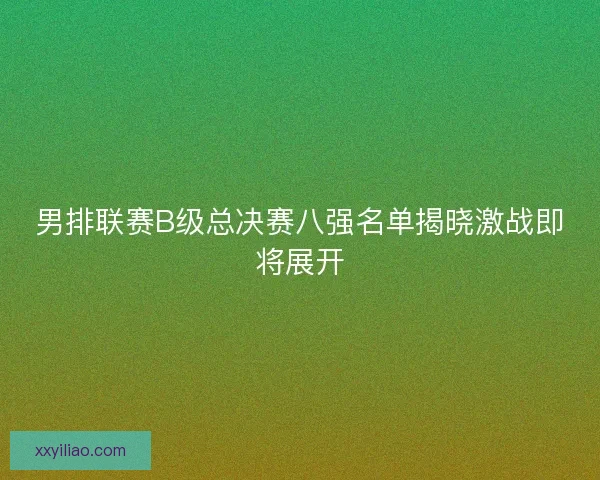 男排联赛B级总决赛八强名单揭晓激战即将展开
