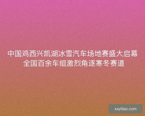 中国鸡西兴凯湖冰雪汽车场地赛盛大启幕 全国百余车组激烈角逐寒冬赛道