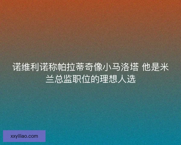 诺维利诺称帕拉蒂奇像小马洛塔 他是米兰总监职位的理想人选 诺维利诺称帕拉蒂奇像小马洛塔 他是米兰总监职位的理想人选