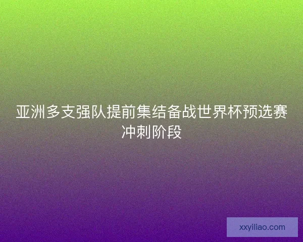亚洲多支强队提前集结备战世界杯预选赛冲刺阶段 亚洲多支强队提前集结备战世界杯预选赛冲刺阶段